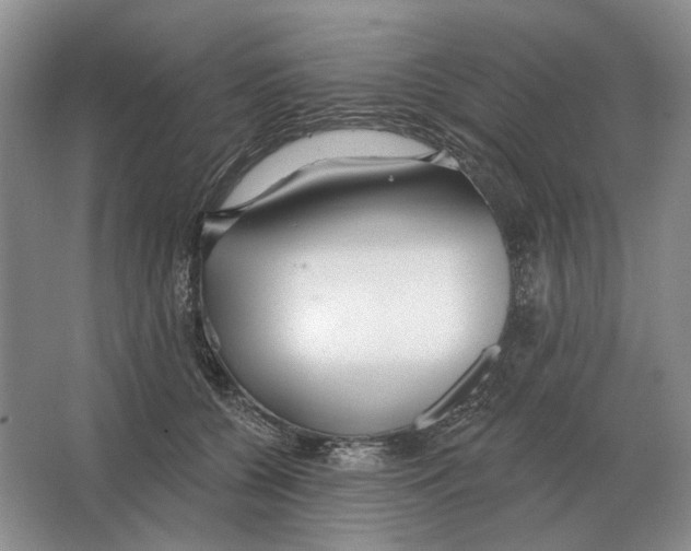 X0000063450560200602171901