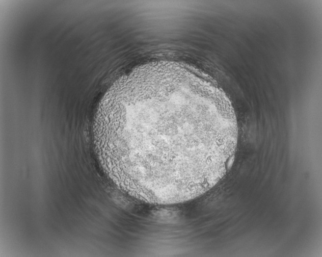 X0000063450561200602171901