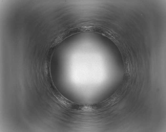 X0000063450562200602171901