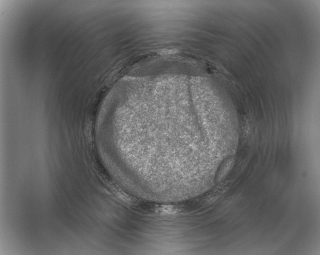 X0000063450565200602171901