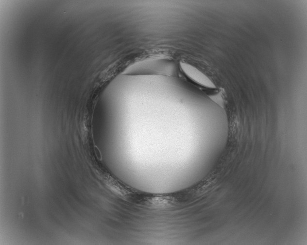 X0000063450566200602171901