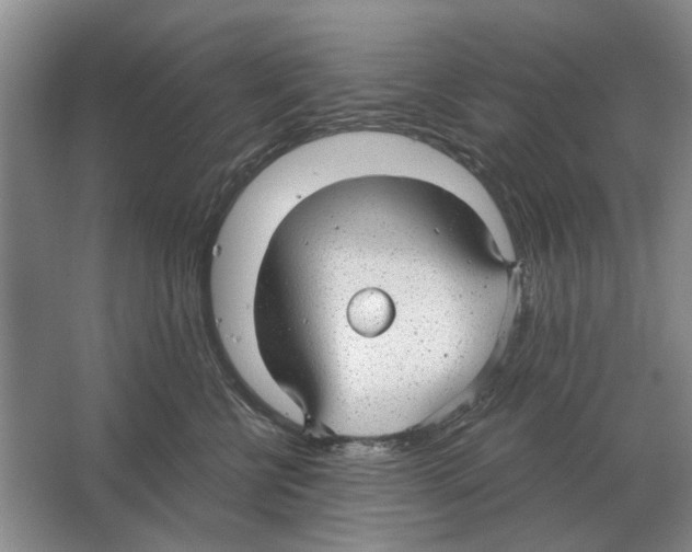 X0000063450570200602171901