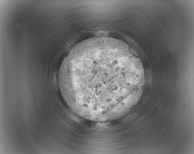 X0000063450573200602171901