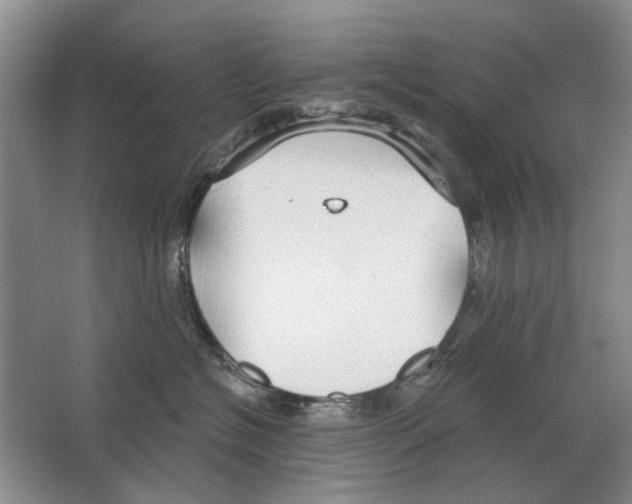 X0000063450574200602171901