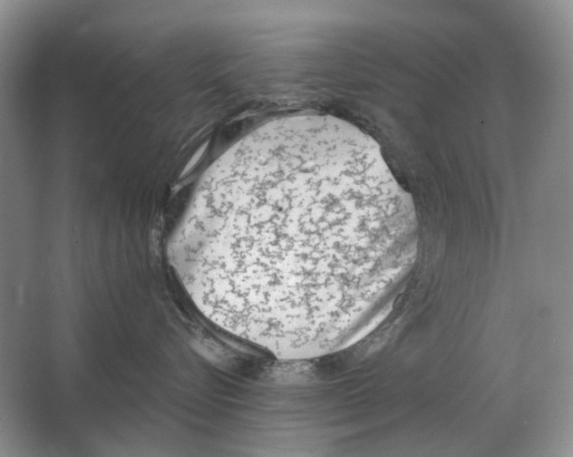 X0000063450576200602171901