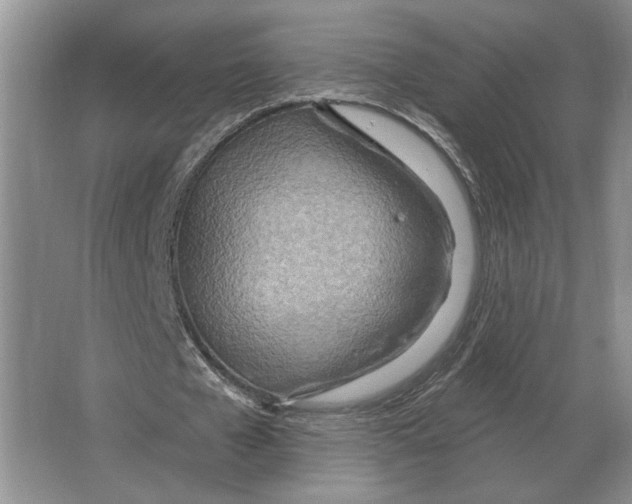 X0000063450577200602171900