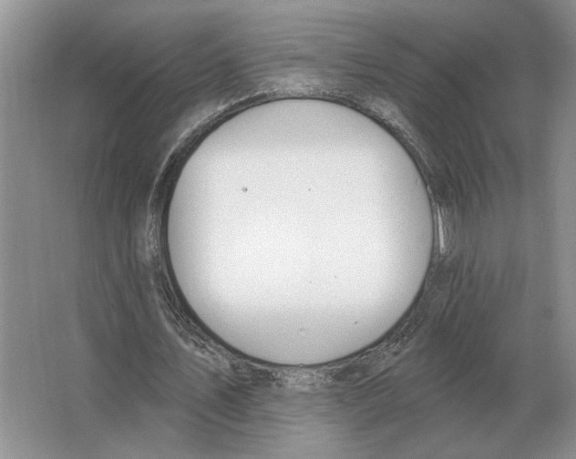 X0000063450579200602171900