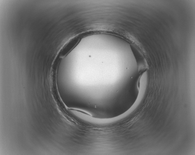 X0000063450580200602171900