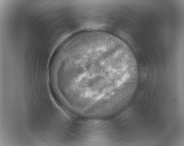 X0000063450582200602171900