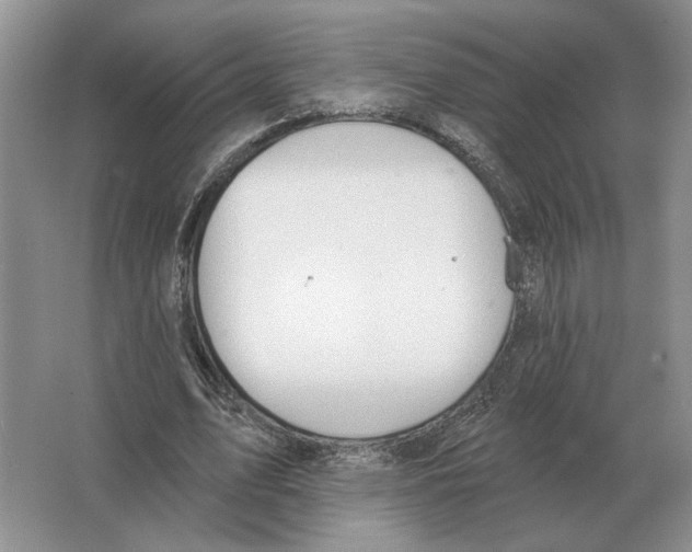 X0000063450583200602171900