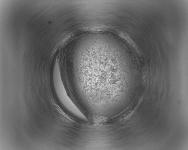 X0000063450585200602171900