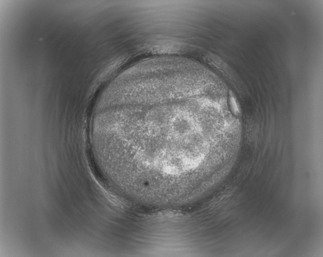 X0000063450586200602171900