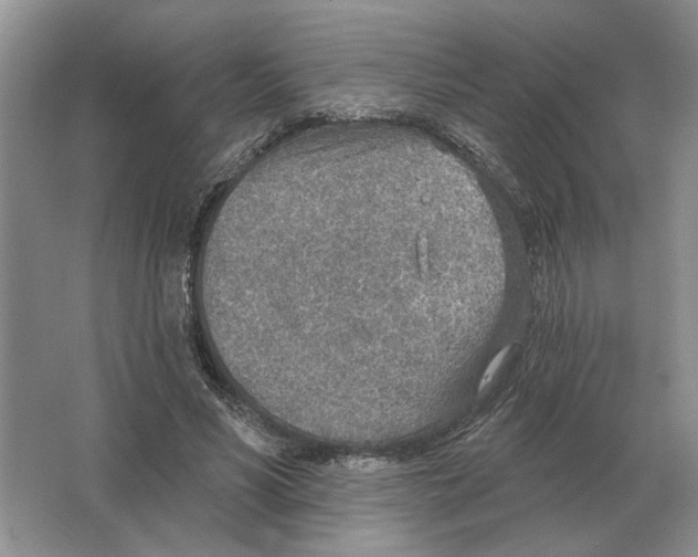 X0000063450590200602171900