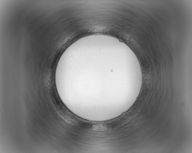 X0000063450591200602171900