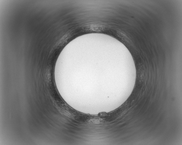 X0000063450595200602171900