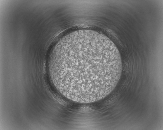 X0000063450596200602171900