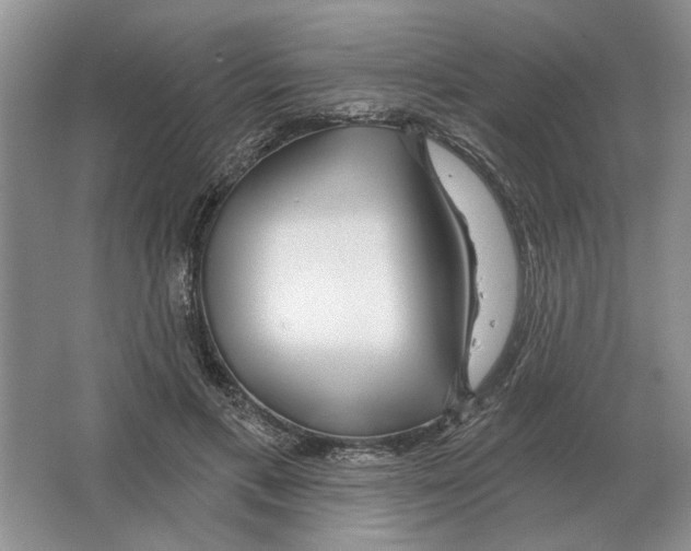 X0000063450597200602171900