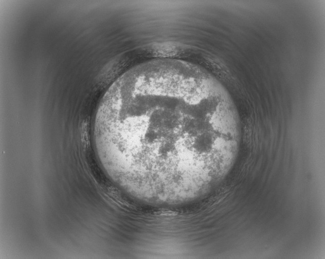 X0000063450598200602171900