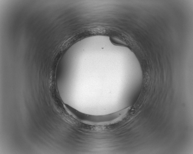 X0000063450600200602171900