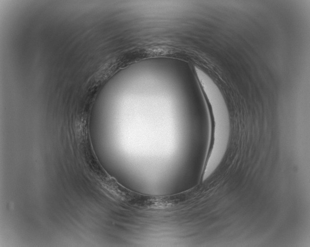 X0000063450601200602171900