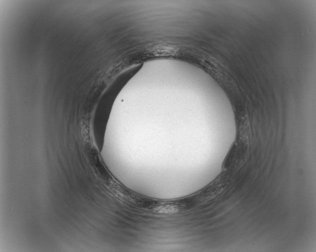 X0000063450604200602171900