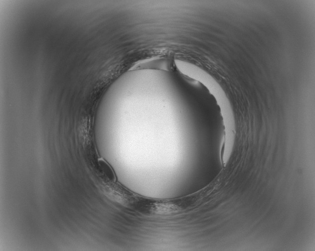 X0000063450605200602171900