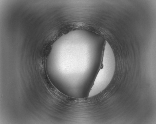 X0000063450607200602171900