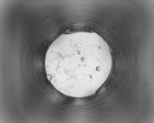 X0000063450608200602171900