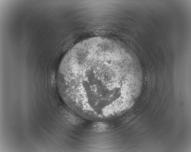 X0000063450610200602171900