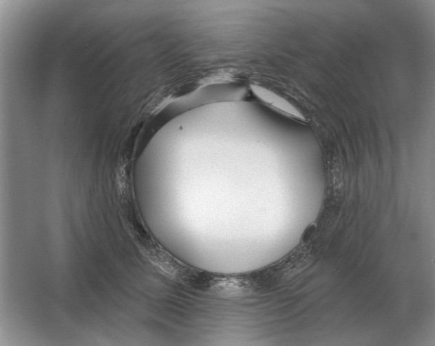 X0000063450611200602171900