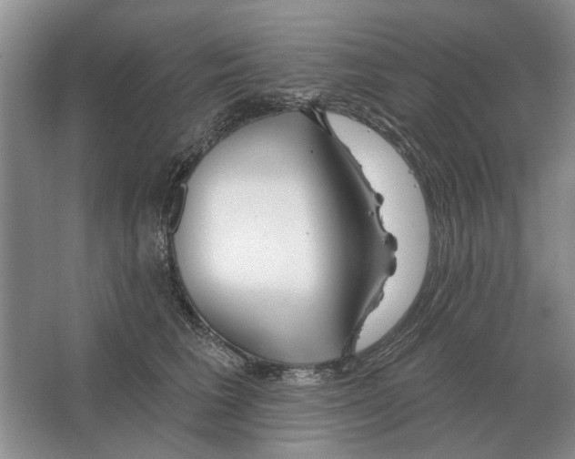 X0000063450613200602171900