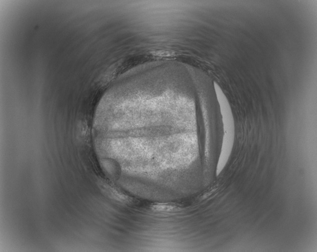 X0000063450614200602171900