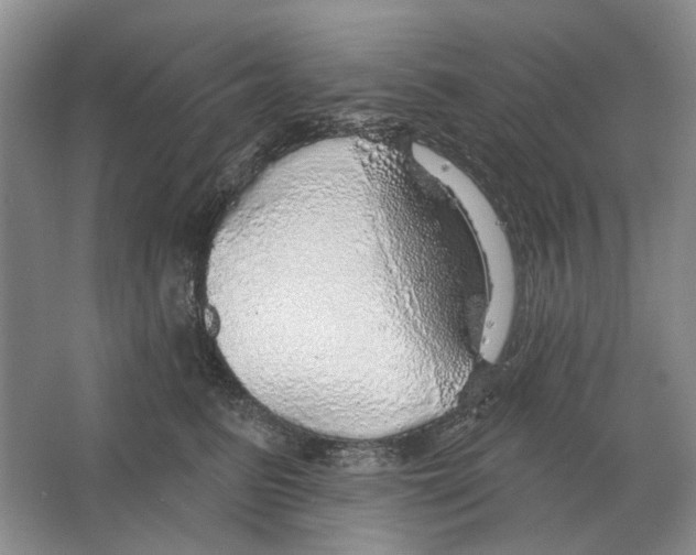 X0000063450615200602171900