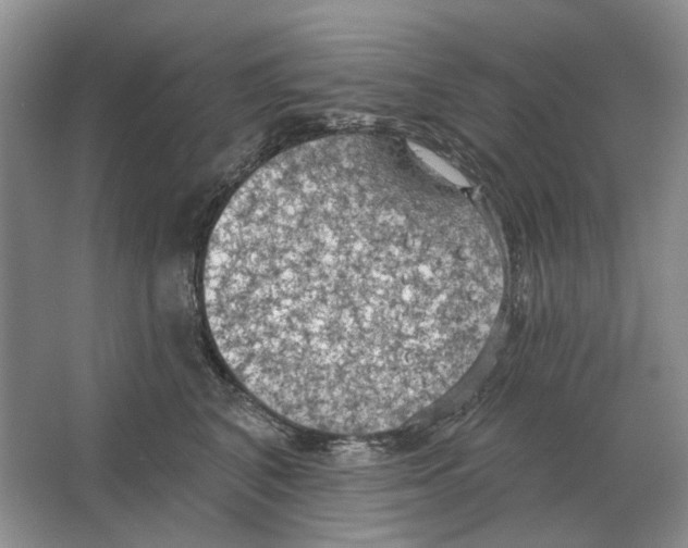 X0000063450616200602171900