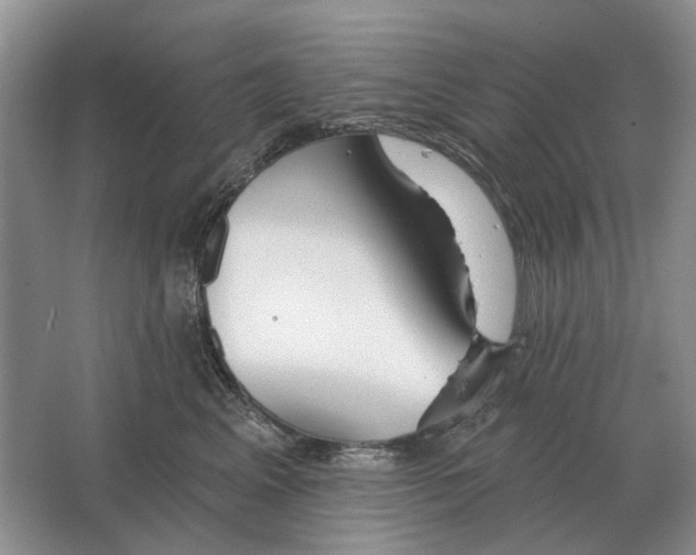 X0000063450617200602171900