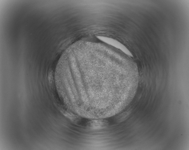 X0000063450623200602171900