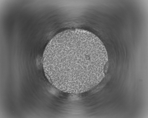 X0000063450624200602171900