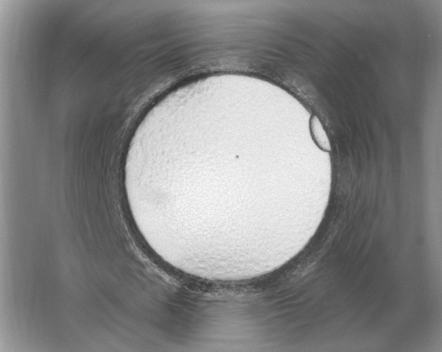 X0000063450625200602171859