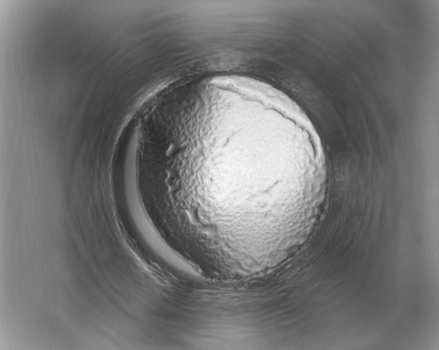 X0000063450626200602171859