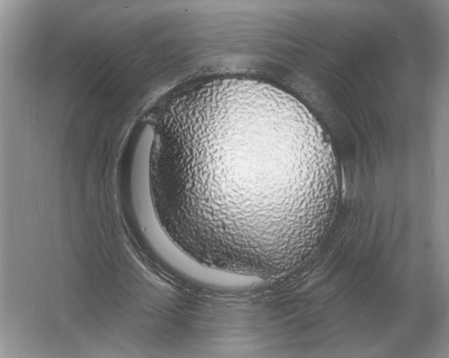 X0000063450627200602171859