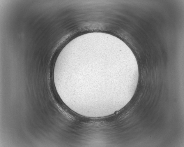 X0000063450629200602171859