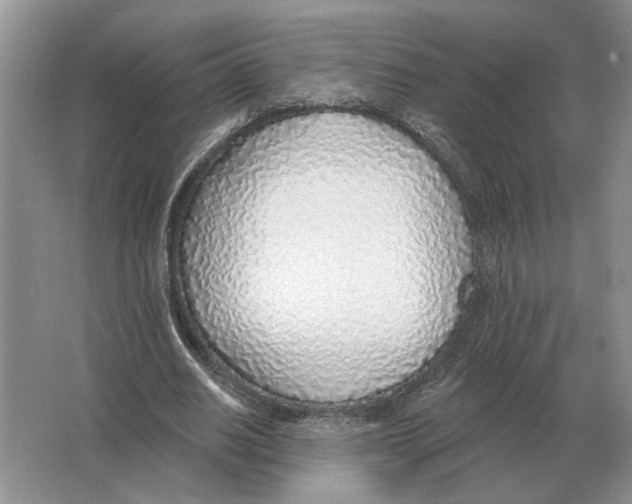 X0000063450630200602171859