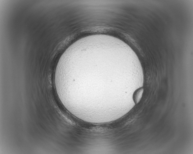 X0000063450633200602171859