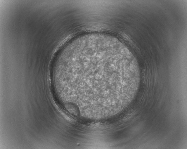 X0000063450634200602171859