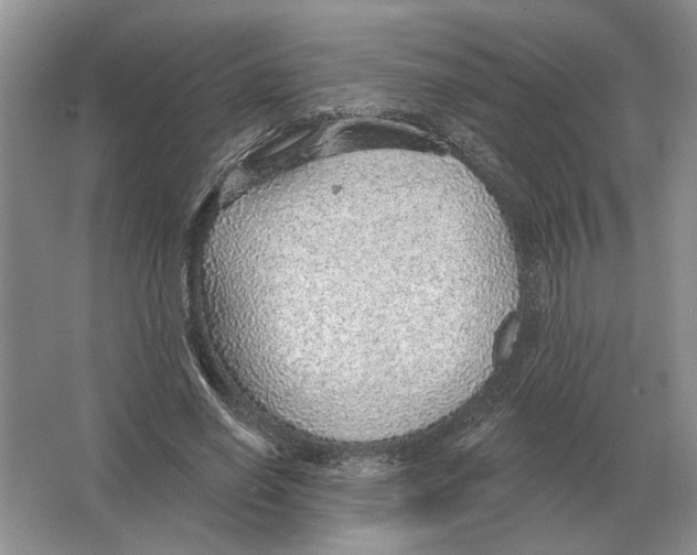 X0000063450638200602171859