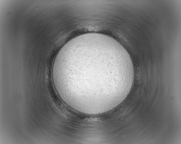 X0000063450639200602171859