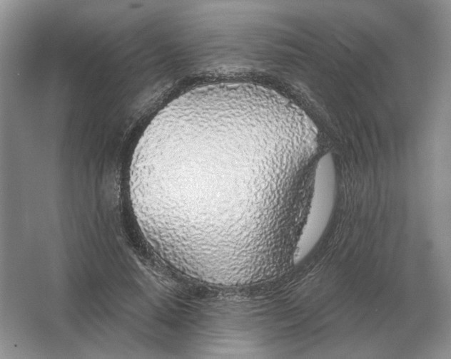 X0000063450640200602171859