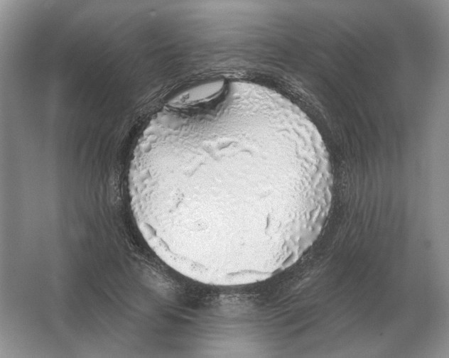 X0000063450641200602171859