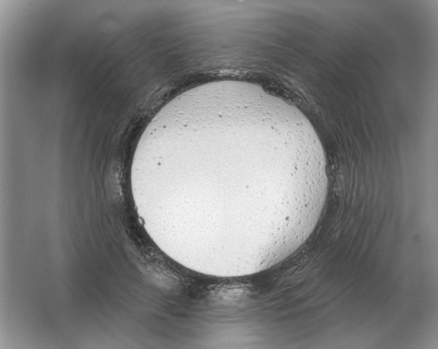 X0000063450643200602171859