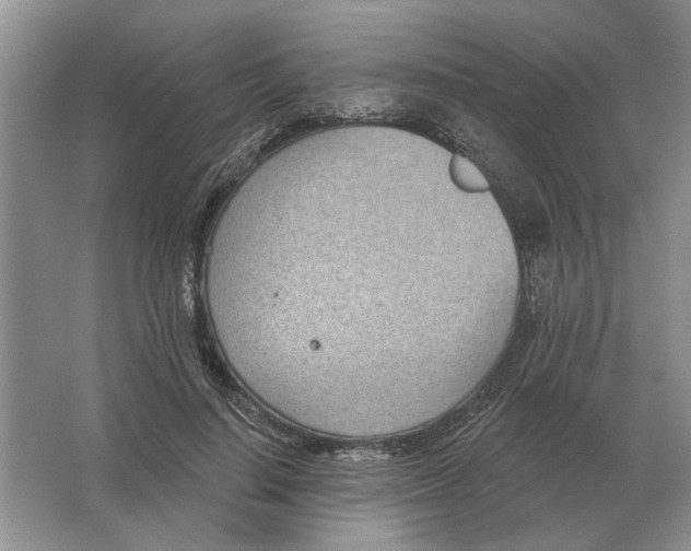 X0000063450644200602171859